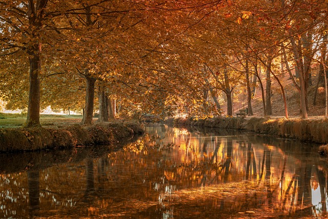 equipo profesional revisando una planificación semanal en una mesa de reuniones en oficina de Providencia Santiago